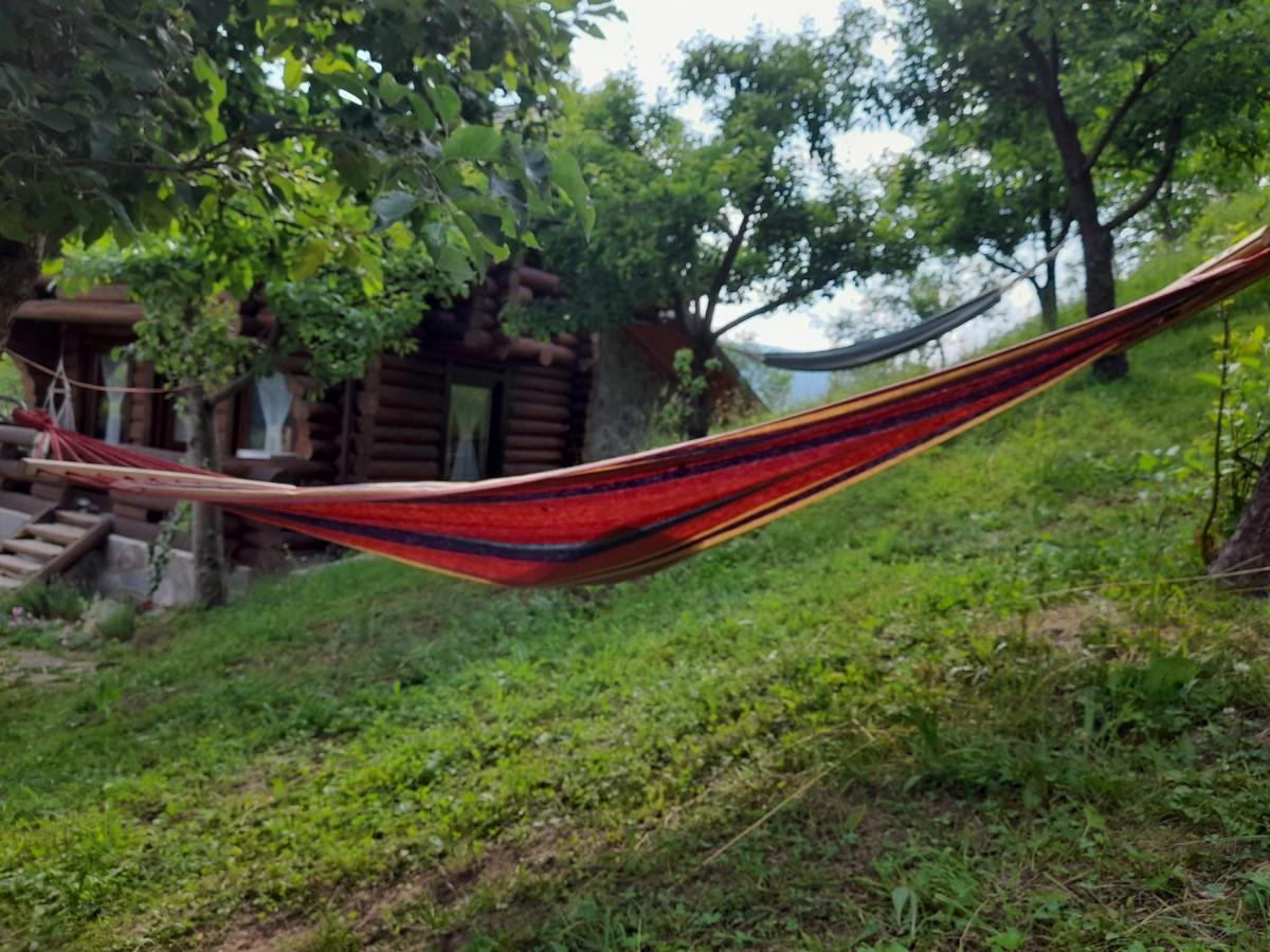 Cabana Din Revier Viseu de Jos Exterior photo