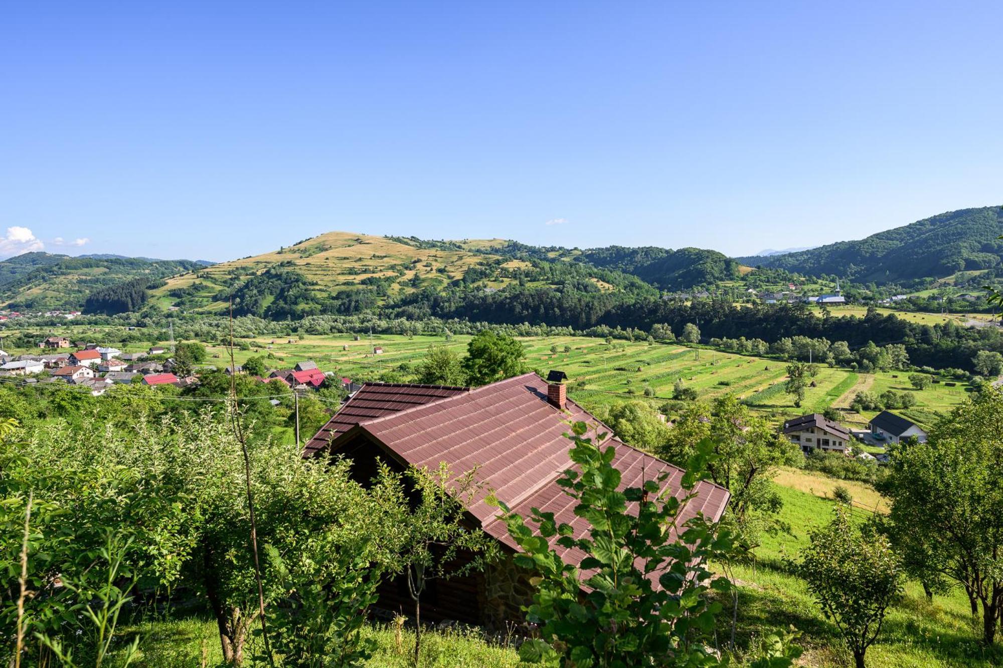 Cabana Din Revier Viseu de Jos Exterior photo